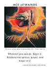 Ace of Wands Tarot card in Art of Life deck