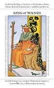 King of Wands Tarot card in Apprentice deck