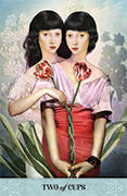 Two of Cups Tarot card in Tarot of Mystical Moments deck