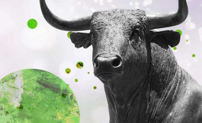 A gray bull stands against a gray background with green circles all around.