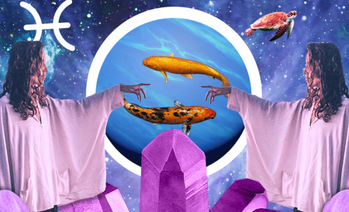 Two women in long cloaks stand on either side of two koi fish against a dark blue background.